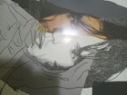 Picture 6 of 6