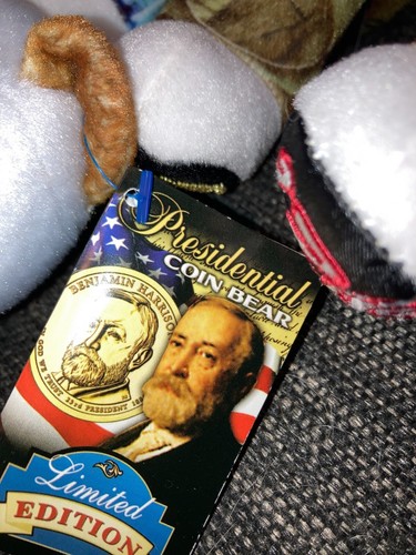 Limited Treasures STATE COIN BEARS - Picture 6 of 8