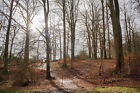 Bild 13 von 16