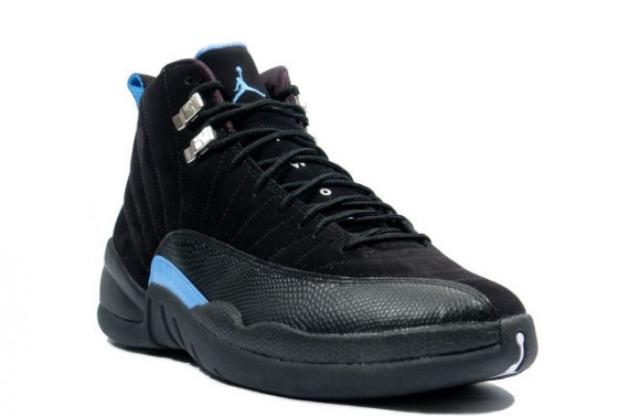 jordan 12 nubuck 2009