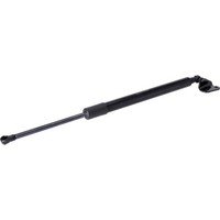 Febi Bilstein 179824 Gasfeder Kofferraum Laderaum FüR Mazda CX 5 KE GH KF