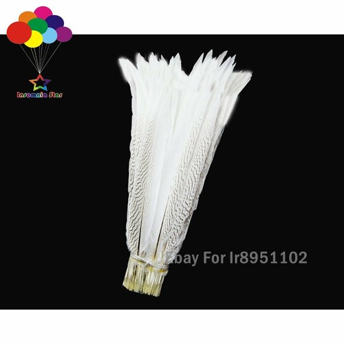 50 pz piumaggio argento naturale piuma di fagiano 40-80 cm bianco coda motivo nero - Foto 4 di 13