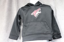 NHL Arizona Coyotes Boy's Black Pullover Hoodie 3T