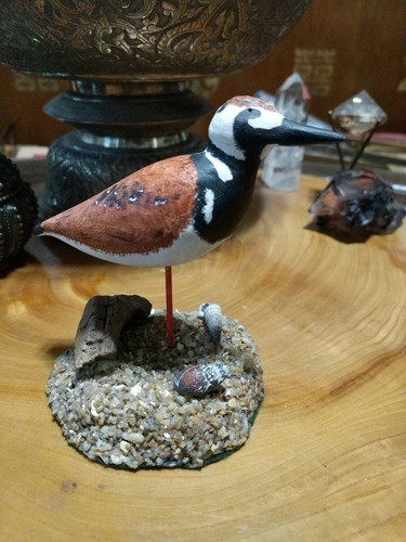Signed "W.D. 1998" carved wood Bird Figurine. Ruddy turnstone