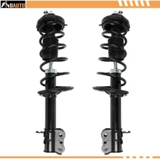 Rear (2) For 1999-2003 Mazda Protege Complete Struts Shock Coil Spring Assembly