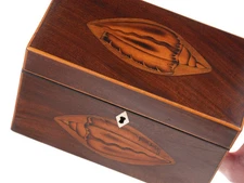 c1840 Marquetry Conch shell Inlaid Walnut tea caddy