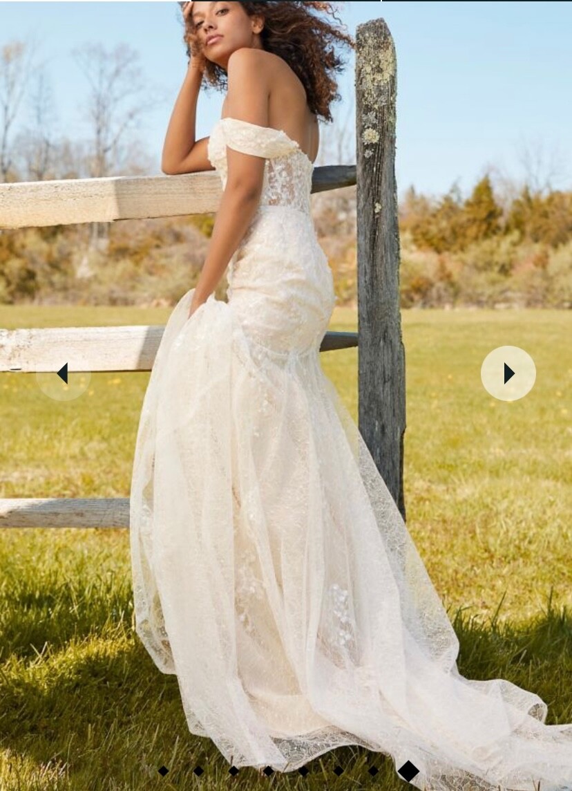 lace dress xs Plus-Size Romantic A-Line Wedding Dress main image 0