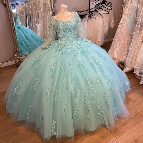 Aqua Green Quinnceanera Dress Appliques Long Sleeve Backless Birthday Ball Gowns