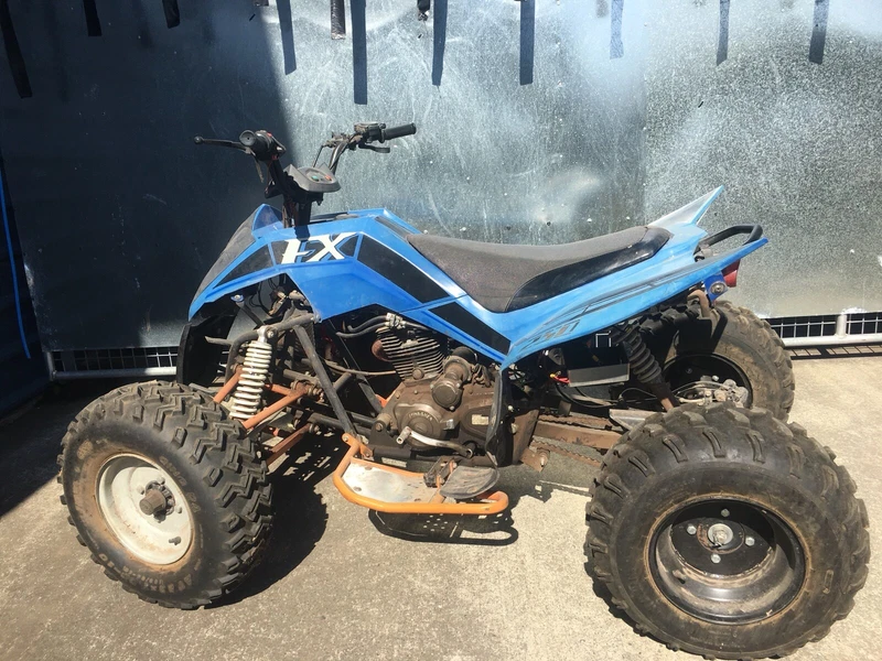 gumtree quads