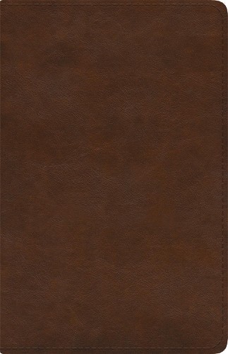 ESV Spanish/English Parallel Bible - 9781433579660