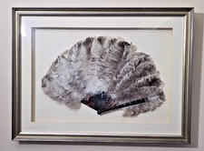 Vintage 1900c Faux Tortoise  Ostrich Feather Fan in a Frame
