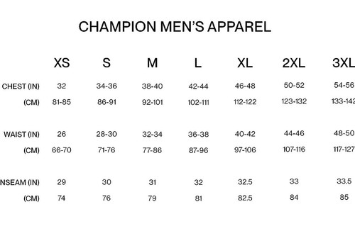 NWT Champion Powerblend Crewneck Sweatshirt Graphic Mens Size M Lavender - Picture 8 of 8