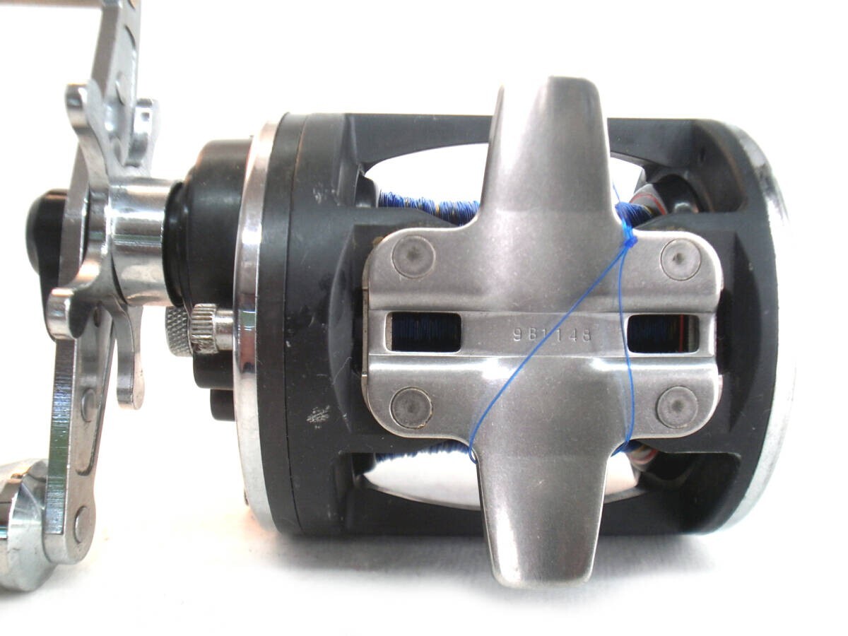 Amazon.com : Daiwa Sealine-Xa Conventional Reel : Fishing