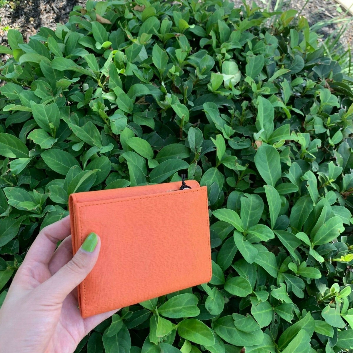 NWT FURLA Classic Medium Saffiano Leather Tri Fold Wallet