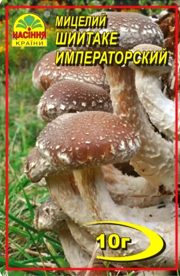 Offerta: Shiitake secco Mycelium Plus attivatore della crescita miceliale - Immagine 2 di 3