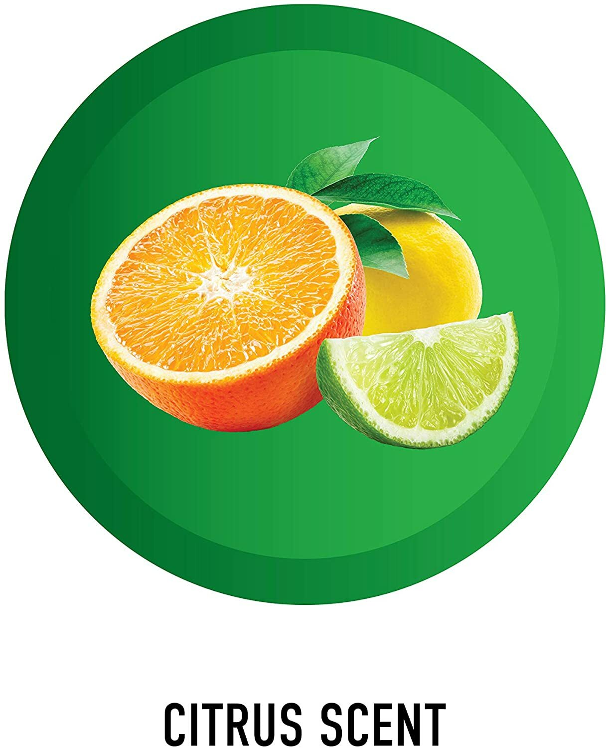 HOOVER Renewal TILE & GROUT MultiSurface Specifically Cleaning Formula