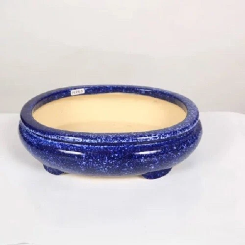 Koyo Bonsai Pot