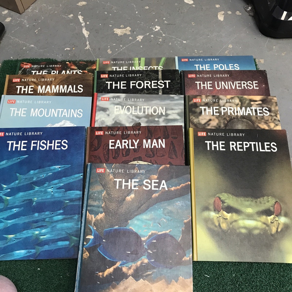 Life Nature Library 13 Book Lot Hardcover 1963 | eBay