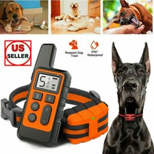 mockins shock collar