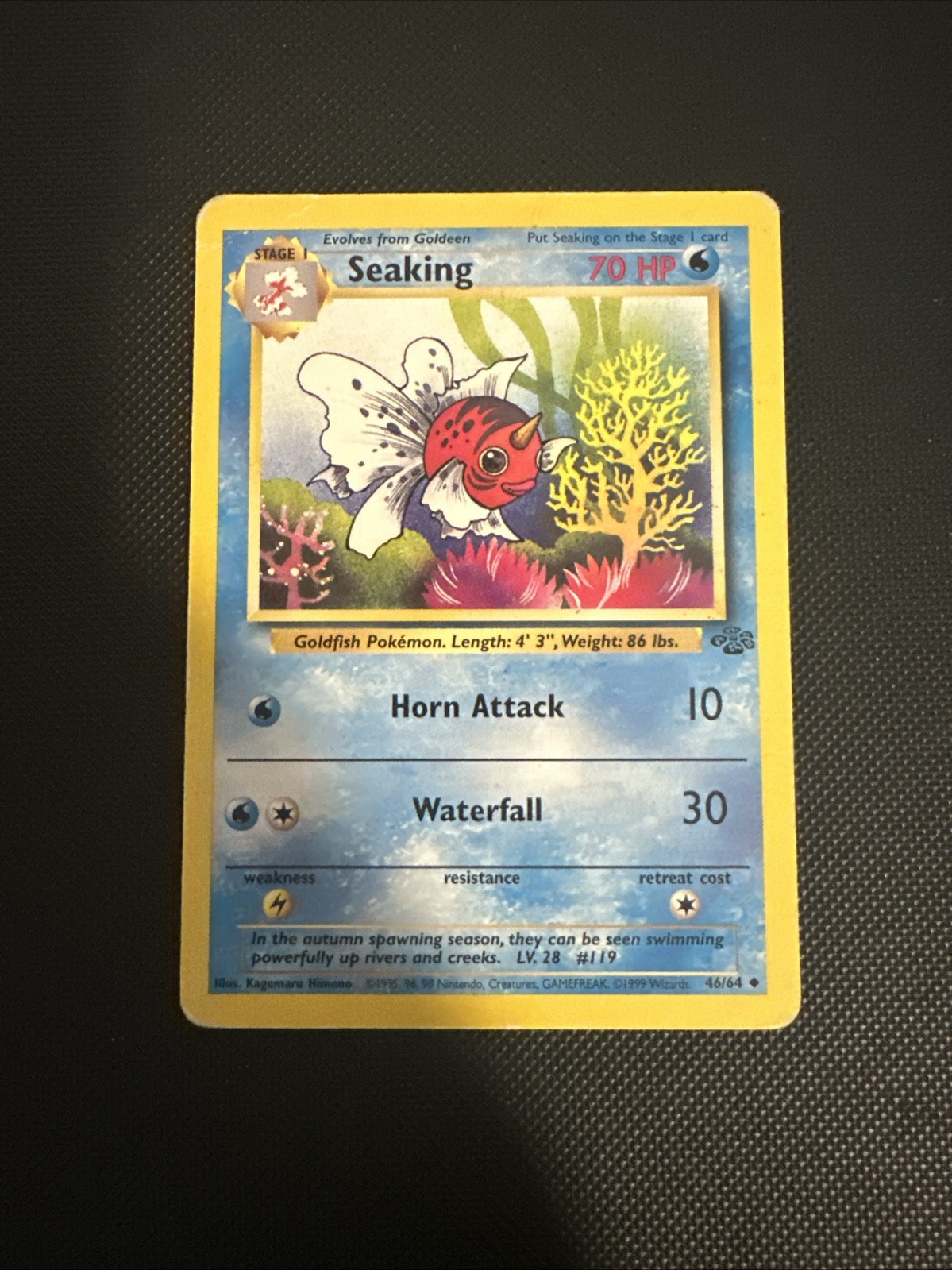 Seaking 46/64 Jungle Regular