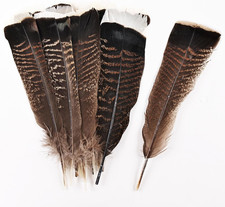 12Pcs Natural Color Wild Turkey Tails Feathers 10-12Inch for DIY Crafts Home Wed