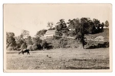 Cattle Field Hilltop Farmstead Farming Real Photo Postcard RPPC Unposted