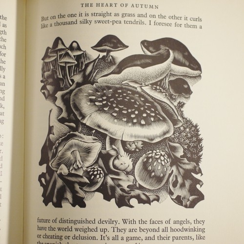 HE Bates Through The Woods April to April Illus By Agnes Miller Parker 2nd Ed - Picture 11 of 18