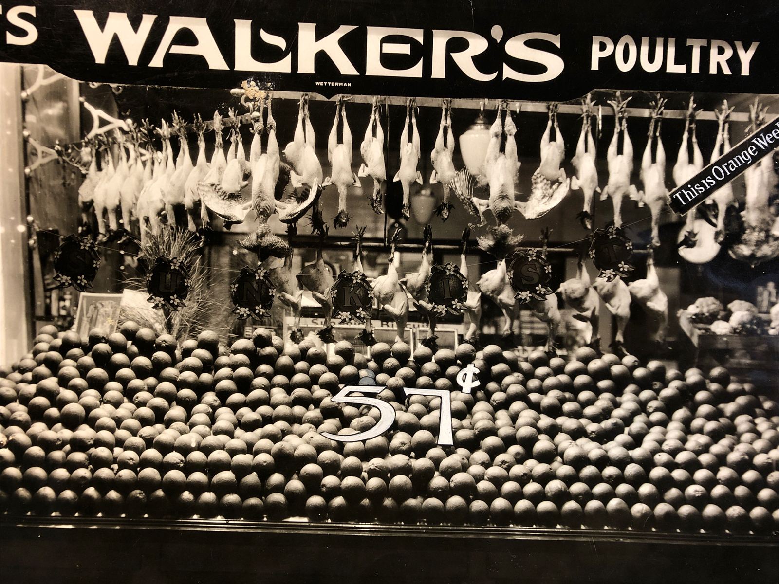 1920s A.F. WALKER Display Window Sunkist Orange Poultry Photo ROCHESTER NY 8x10