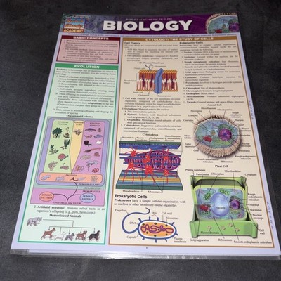 Biology (Quick Study: Academic) - Cards By BarCharts, Inc. -PB