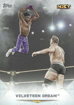 2020 Topps WWE Undisputed Velveteen Dream 74 NXT | eBay