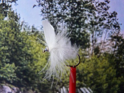 Trockenfliege '' CDC White Moth ''  3er Set
