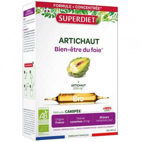 Artichaut Bio
