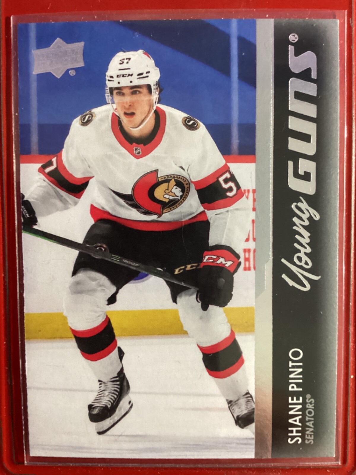 2021-22 UD Series 1 Hockey Young Guns #246 Shane Pinto Rookie (RC)  Senators