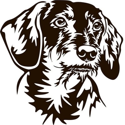 DACKEL TECKEL Aufkleber - Autoaufkleber - sticker - Dackel Kopf #48