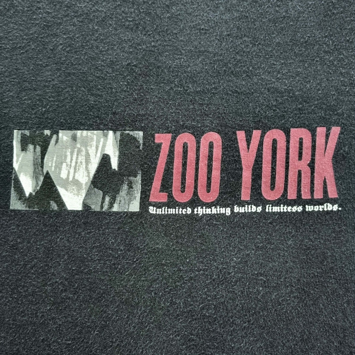 Vintage 90s ZOO YORK Skate Shirt M Skateboard Powell Plan B Think 5Boro Supreme View 3