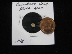 Colorado Gold Nugget | eBay
