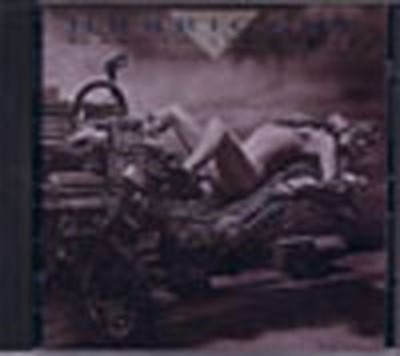 Slave to the Thrill von Hurricane