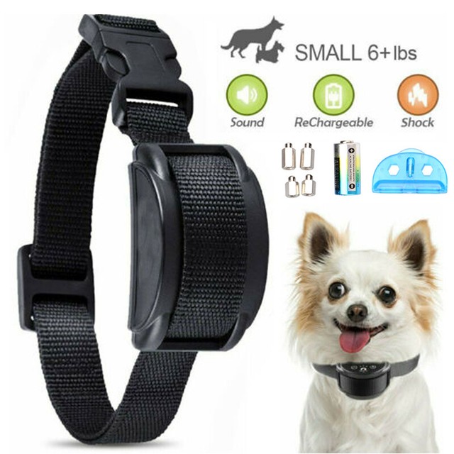 best no bark collar for small dogs