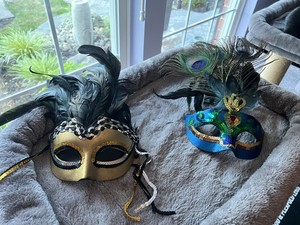Two Masquerade Masks with Side Feathers