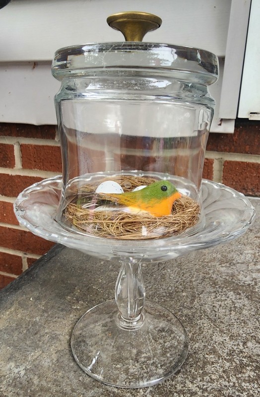 New Clear Glass Decorative  Cloche W/ Vintage Glass Base And New Birds Nest.