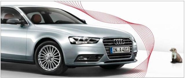 Audi Marderabwehr Ultraschall System - Schutz Vor Marderbissen Am Auto - Einfache Installation