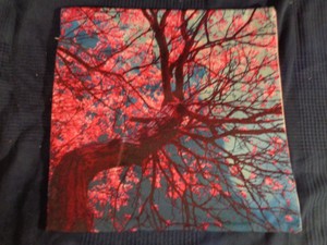 Détails Sur Housse De Coussin Cerisier Japon Fleur Mandala Tete De Mort Tattoo Iphone Design