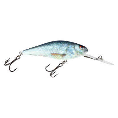 Salmo Executor Wobbler Deep Runner RD Real Dace Kunstköder Köder Hecht Barsch