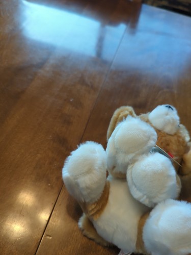 TY Beanie Baby - FRANKLIN the Dog (6 inch) - MWMTs Stuffed Animal Toy - Picture 13 of 22