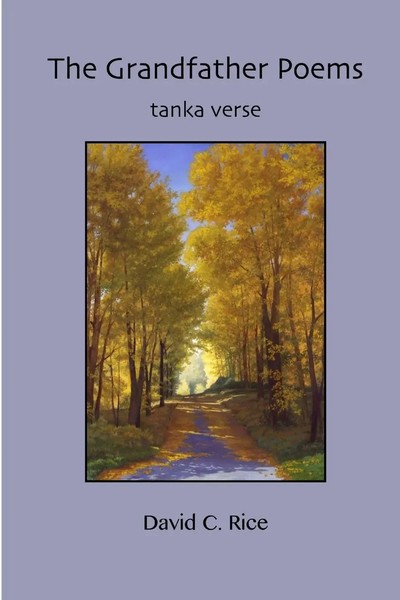 The Grandfather Poems David Rice Taschenbuch Kartoniert / Broschiert Englisch-image