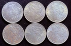 (6) 1921-P Morgan Dollars - Choice BU Estate Lot - High Luster - Check VAMs