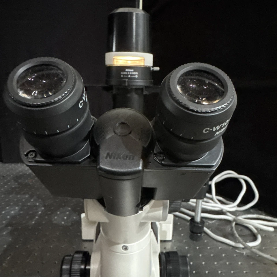 Microscopio invertido Nikon Eclipse TS100-F Foto 3 de 4