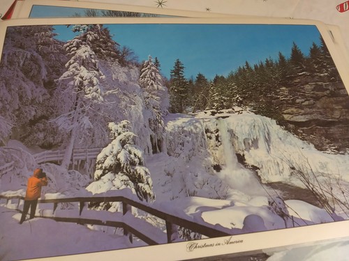 Colchonetas de plástico reversibles de colección 4 1974 "Navidad en América" ​​y Thomas Cathey  - Imagen 6 de 12