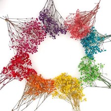 100 Pcs Mini Dried Baby's Breath Flowers Multiple Colors Resin Crafts Wedding