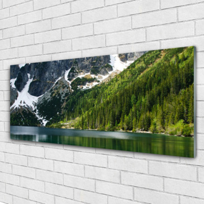 Acrylglasbilder Wandbilder aus Plexiglas  125x50 See Wald Gebirge Landschaft